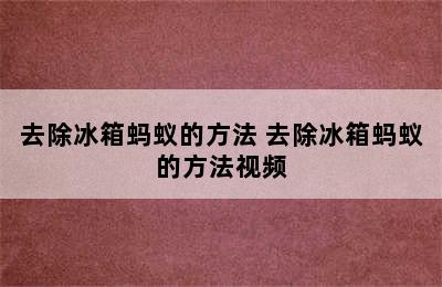 去除冰箱蚂蚁的方法 去除冰箱蚂蚁的方法视频